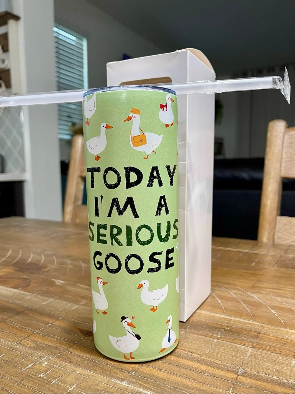 Today I'm A Serious Goose - 20oz Tumbler